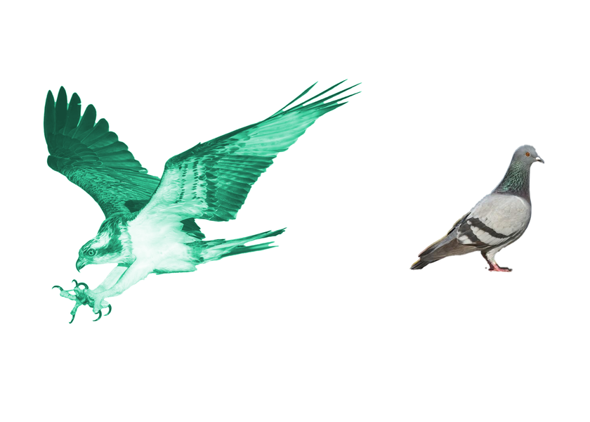 Local AI Solutions VS API Based Solutions